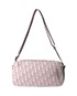 Dior Number 1 Trotter Bag, back view